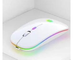 Belaidė pelė ergonominė kompiuterio pelytė, su šviesomis, spalva: balta