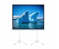 Art MENINĖS VADOVAS EKRANAS ANT A su stovu 140 colių 254x254cm TA-140 1:1 dvigubos viryklės
