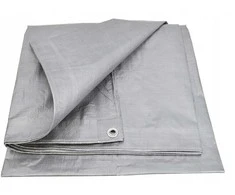 AW-Tools AW Sidabrinis TARP 120g 8*12m | Awtools