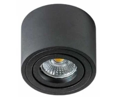 Lubinis šviestuvas Torino Mini Bross lubų lempa 1x50W (GM4000 BK)