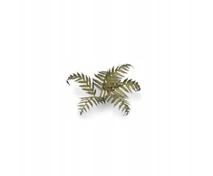 Gamers Grass : Lazeriniai augalai - Bracken - Papartis