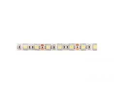 GTV Blykstės juosta 5050, 300 LED šaltai baltos spalvos, 72 W, atspari vandeniui 10 mm, ritiny