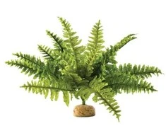 Exo Terra Dirbtinis augalas – Boston Fern, M