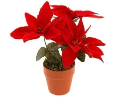 Home Styling Collection Artificial Star of Bethlehem (čia gali būti, kad rinkinį sudaro 35 vnt. :(:(