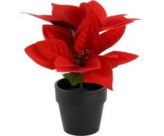 Home Styling Collection Dirbtinė Betliejaus žvaigždė vazonėlyje, aukštis 18 cm