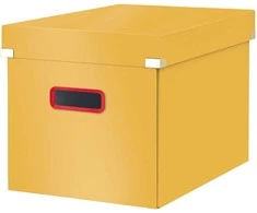 Leitz Pudełko CS Cosy L lato