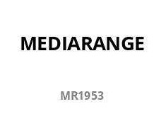 STICK MediaRange USB STICK USB 3.2 Gen1 USB-C 64GB