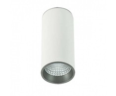 Lubinis šviestuvas Netlighting 12W LED paviršinis šviestuvas MOLDES BIG, baltos/pilkos sp., 4000K