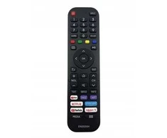 Hisense EN2G30H NUOTOLINIO VALDYMO PULTAS
