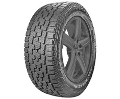 Pirelli 255/70R16 Scorpion All Terrain Plus 111T M+S padanga