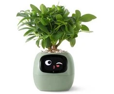 PlantsIO gebenė žalia