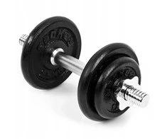Spokey Egir ketaus hantelis 1 x 10 kg