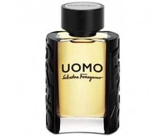 Salvatore Ferragamo S. Ferragamo Uomo Pour Homme EDT tualetinis vanduo, 100 ml