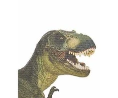Thumbs Up Nykštys aukštyn Nykštys aukštyn! Pakeltas langas „T-Rex“