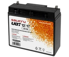 Maitinimo šaltinis awaryjny UPS Interaktyvus Salicru 013BS000004 12 V