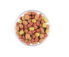 Carnis sausas maistas suaugusiems šunims su ėriena – 10 kg