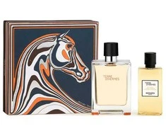 Hermès Hermes Terre D'hermes rinkinys vyrams (EDT, 100 ml + dušo želė, 80 ml)