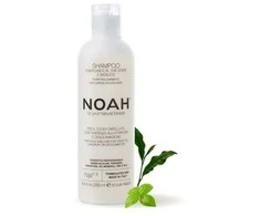 Noah 1.5. Purifying Šampūnas With Žalias Tea Šampūnas nuo pleiskanų, 1000 ml