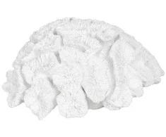 Jaukeja Baltas koralas, 23x22x11cm