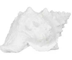 Jaukeja Baltos spalvos jūros kriauklė, 21 X 14 X 12 CM