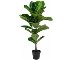 Jaukeja Dirbtinis augalas Fiddle Leaf Tree 100cm