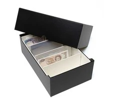 Archyvinė dėžutė banknotams Logik