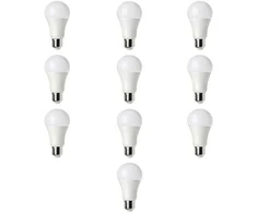 Bona Electrica Lemputė E27 A65 15W WW 3000K, 10vnt