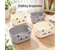 4 plastikinių indelių rinkinys smulkmenoms (4 vnt.) TR2364A