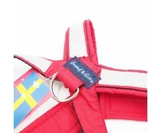 46/80 CM. Gustaf &amp; Evita petnešos GE110305