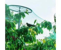 Apsauginis Tinklas Nuo Paukščių, 5 X 10 M