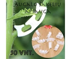 Augalo šakelių laikikliai 50 vnt.
