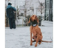 Augintinio šalikas Hunter Žalias