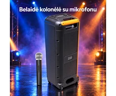 belaidė garso kolonėlė su mikrofonu ir led apšvietimu, 40 W