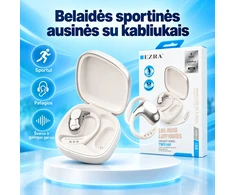 Belaidės ausinės su įkrovimo dėklu EZRA TWS143