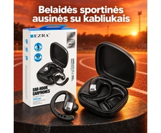 Belaidės ausinės su įkrovimo dėklu EZRA TWS143