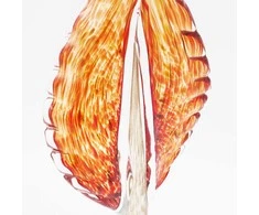 Dekoratyvinė stiklo skulptūra, 12×7×32.5 cm