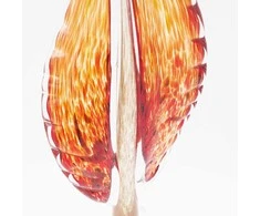 Dekoratyvinė stiklo skulptūra, 13×9×41 cm