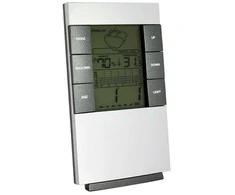 ZG4 Elektroninis termometras namams
