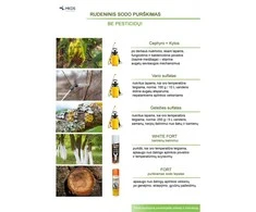 REAGENTAS GELEŽIES SULFATAS 1KG