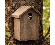 Inkilas zylėms iš polimermedžio su ovalia landa 5 × 3 cm