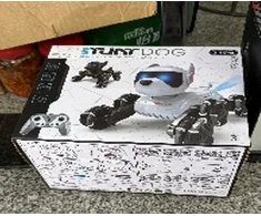 Interaktyvus nuotoliniu būdu valdomas robotas šuo TR2384C
