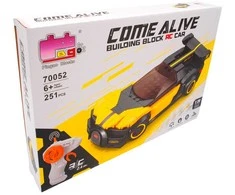Konstruktorius/suvenyras RC mašinėlė TR2055G