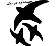Lipdukas Apsaugai Nuo Paukščių Atsitrenkimo Į Langus