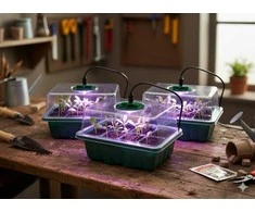 Mini šiltnamių rinkinys daiginimui su LED apšvietimu – 3 vnt.