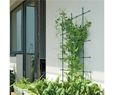 Prosperplast augalų atrama floo supports 60x120 cm
