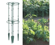 Prosperplast Augalų atramos 25 ir 35 cm miško žalia