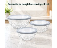 Plastikinių maisto laikymo indelių rinkinys su dangteliais 3 vnt.