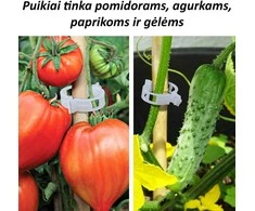 Pomidorų segtukai, 50 vnt.