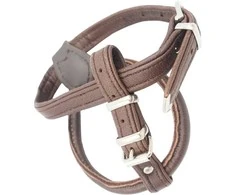 XS Petnešos Hunter