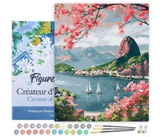 Figured'Art Tapybos pagal skaičius rinkinys - Rio de Žaneiras